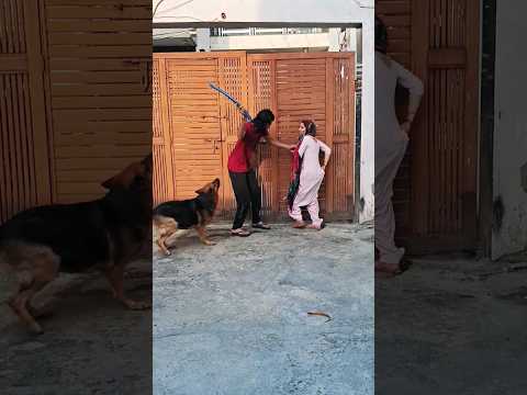 फुके  काॅल्जो.                                  #doglover #punjabisong