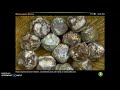 Metamorphic Rocks and Marble Sculpting