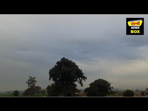 ਪੰਜਾਬ 'ਚ ਅੱਜ ਗੜ੍ਹੇਮਾਰੀ ਦਾ ਅਲਰਟ Weather information about Punjab | Punjabi News Box