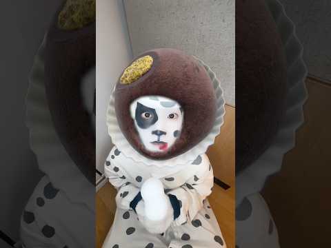 우기! 산책갈까?!🐶