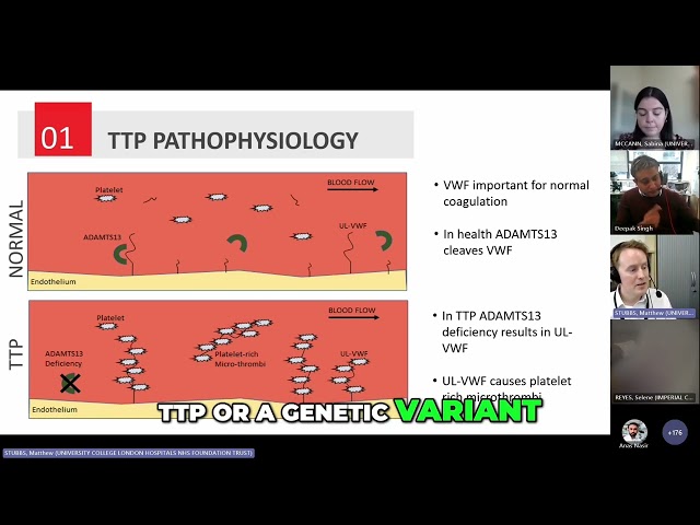 What’s the difference between acquired and congenital TTP?

In this clip from our webinar on TTP diagnostics, the speaker breaks down the key differences between acquired (immune-mediated) and congenital (inherited) thrombotic thrombocytopenic purpura — including their causes, presentation, and diagnostic approaches.

🔗 Watch the full webinar here: https://youtu.be/Ol4wdCLZaok?si=cgUkHWwjNylWjTtL
📚 Organised by: OnlyCells
👨‍⚕️ For: Biomedical scientists, haematologists, and healthcare professionals involved in rare blood disorder diagnostics.