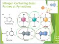 Exploring DNA Structure and Analysis