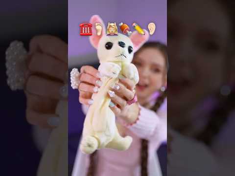 The CUTEST PUPPY THINGS I SPOTTED #puppy #rate #things #haul #unboxing #unpacking 2505-02A