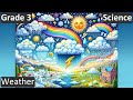 Weather and Seasonal Impacts
