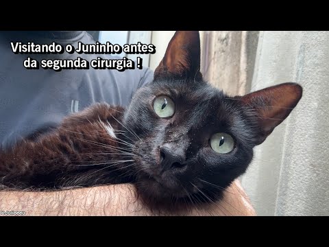 Juninho FUGIU da clínica com o braço operado 😰 !!!