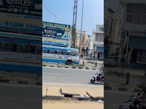 हरियाणा रोडवेज़ बबर शेर बस 🚌 #haryanaroadways #automobile #trending #shorts