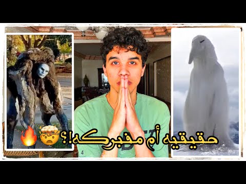 حقيقة كائنات السوشيال ميديا🔥🤯!!