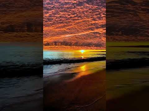 Golden Hour Vibe | Nature's Mood #love #nature