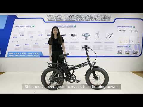 Unleashing the Power: Experience Freedom on Electric Bicycles!