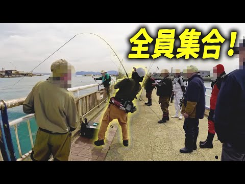 【釣り】ワニが釣れて、周りの人が全員集まったww