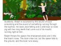 Ralph's Challenges and Encounters