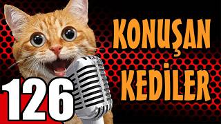 Konuşan Kediler 126 - En Komik Kedi Videoları