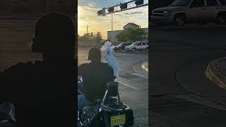 A Biker and His Parrot 😎🦜🏍️