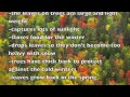 Temperate Deciduous Forest Concepts