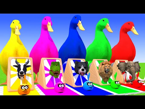 5 Giant Duck Cartoon, Paint & Animals Lion, Gorilla, Bear,Tiger , Cow Wild Animals Crossing Fountain