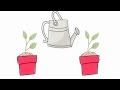 Understanding Controlled Experiments