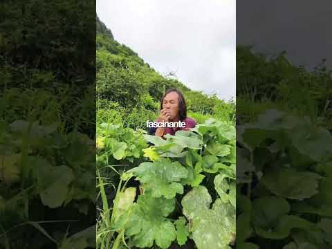 L'Immortel méditant💎🌧️