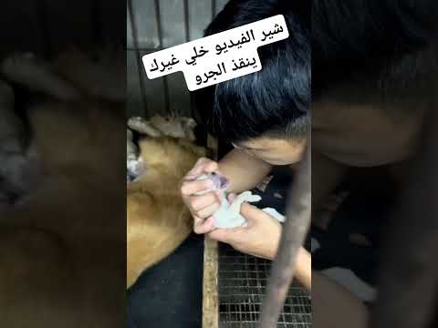 الحق الجرو من التجميد