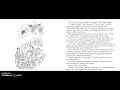 James and the Giant Peach Analysis