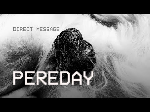 Pereday | Direct Message