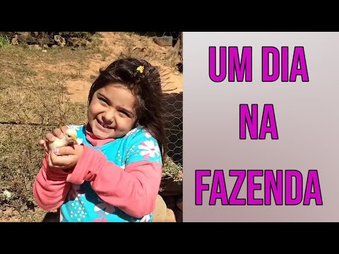 UM DIA NA FAZENDA (Bar do Curral)