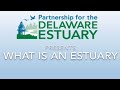 Estuaries and Their Importance