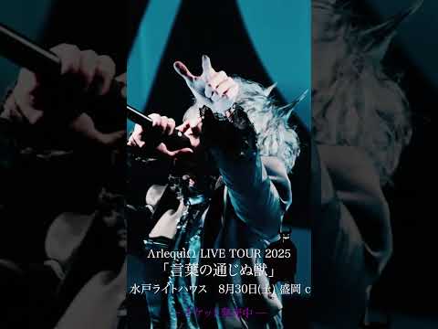 手放して掴む零 / ΛrlequiΩ 2024.10.26 ΛrlequiΩ 11th Anniversary Live「声息」at Spotify O-WEST