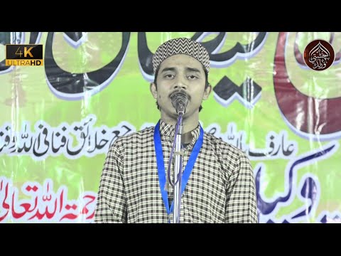 Naat Noman Habibi Allahabadi | Urse Wakeel Shah R,A 2025 Mugarsan Utraon Allahabad Up