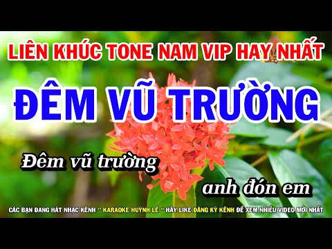 Karaoke Liên Khúc Tone Nam Hay Dễ Hát | Đêm Vũ Trường | Tình Chết Theo Mùa Đông