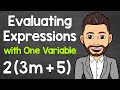 Evaluating Algebraic Expressions with One Variable