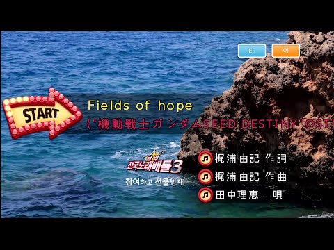 田中理恵 (타나카 리에) – Fields of hope (KY 42787) 노래방 カラオケ