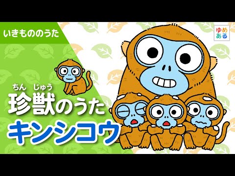 珍獣のうた｜キンシコウ