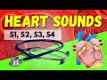 Heart Sounds and Murmurs Overview