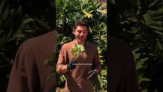 Primavera Rosê 2026 🌸 Descontos em Alianças e Anéis de Noivado