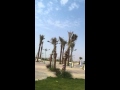 تفحيط داخل جامعة الجوف تفحيط داخل جامعة الجوف
