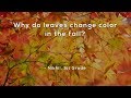 Understanding Why Leaves Change Color in Fall