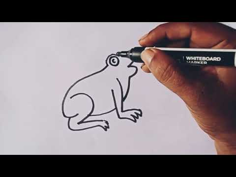 Frog drawing / How to draw a Frog drawing easy step by step / Frog number drawing