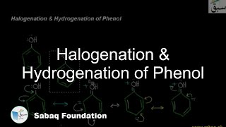 Halogenation & Hydrogenation of Phenol