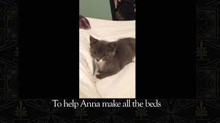 Biscuit the Bedmaker: A Downton Abbey Story