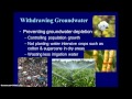 Water Resources and Management Concepts