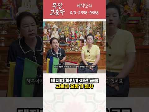 돼지띠 하반기 자만 금물 고춘자 오방기 점사