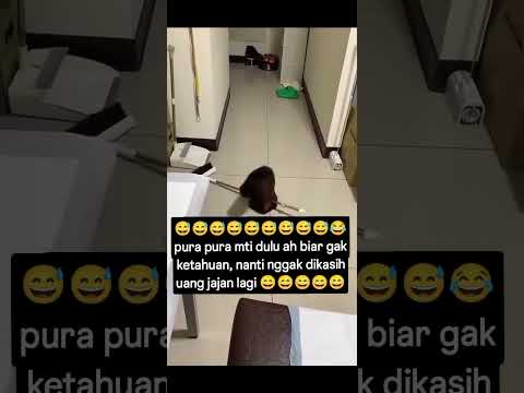 pintar kali kau bujang 🤣 #funny #funnyvideo #tupai