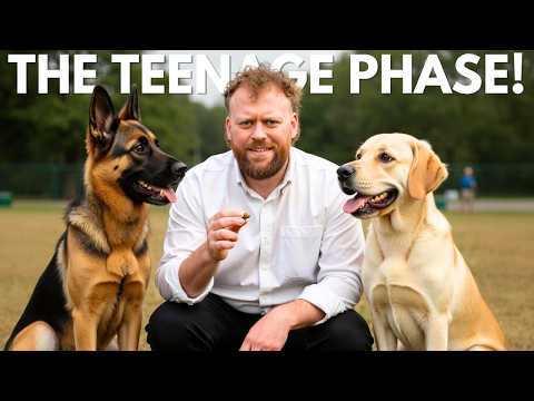 Dog Training MISTAKES In The TEENAGE PHASE!