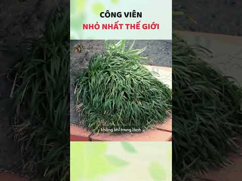 Công viên "độc lạ Bình Dương" ở Nhật Bản #sautrongtanla