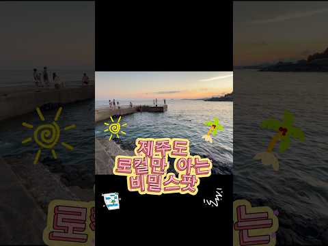 제주도 로컬들의 비밀 스팟 태웃개🏝️ #태웃개 #제주도가볼만한곳 #<strong>제주여행</strong> #제주바다