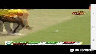 live cricket