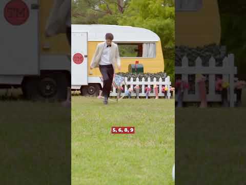 Taskmaster NZ Bowling Task | Urzila Carlson #shorts #taskmaster