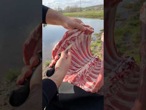Kuzu kafesten beyti şiş - Lamb Rib Beyti Skewers #food #kebap #cooking #tarif #lamb #kasap #yemek
