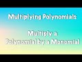 Multiplying Polynomials with a Monomial