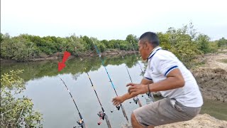 PETUALANGAN ,,! JELAJAHI SPOT MANCING IKAN PREDATOR MANGROVE. #FISHING 